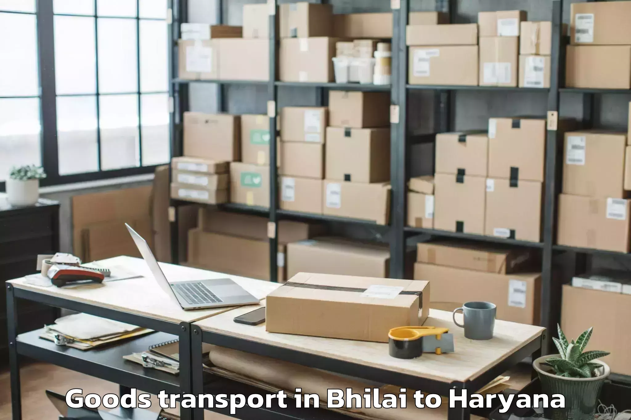 Quality Bhilai to Shahabad Markanda Goods Transport